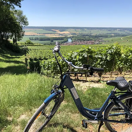 Le Clos Corbier - Champagne Collard-milesi Bed & Breakfast Mareuil-sur-Ay