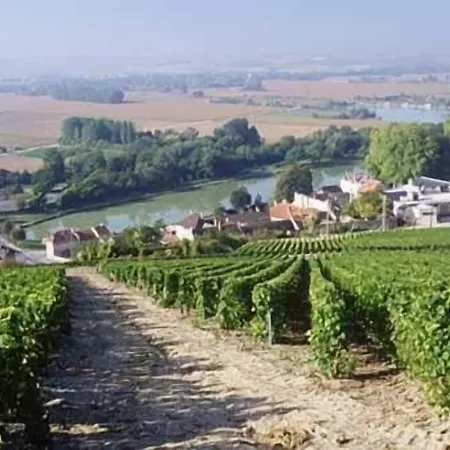 Bed & Breakfast Le Clos Corbier - Champagne Collard-milesi