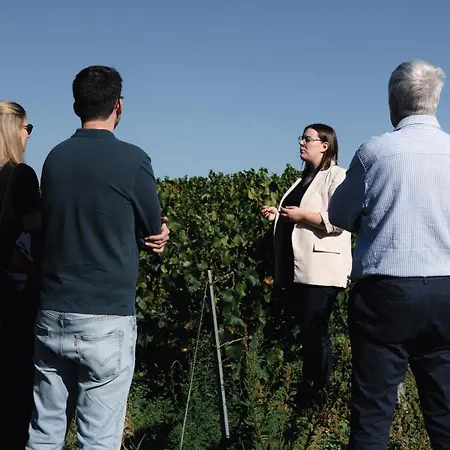 Bed & Breakfast Le Clos Corbier - Champagne Collard-milesi