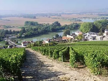 B&B Le Clos Corbier Mareuil-sur-Ay