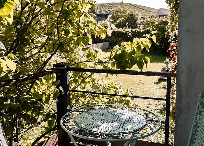 Bed & Breakfast Le Clos Corbier - Champagne Collard-milesi 4*