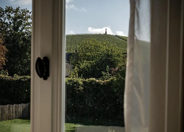 Le Clos Corbier - Champagne Collard-milesi Bed and Breakfast Mareuil-sur-Ay