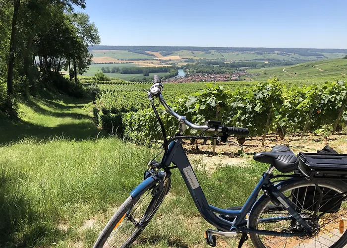 Le Clos Corbier - Champagne Collard-milesi Bed & Breakfast Mareuil-sur-Ay