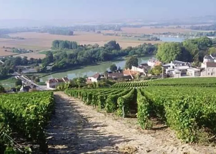 Bed & Breakfast Le Clos Corbier - Champagne Collard-milesi