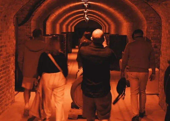 Le Clos Corbier - Champagne Collard-milesi 4*