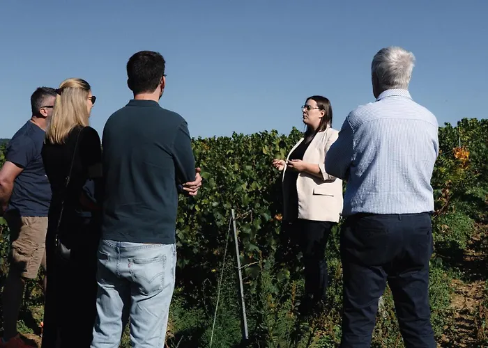 Bed & Breakfast Le Clos Corbier - Champagne Collard-milesi