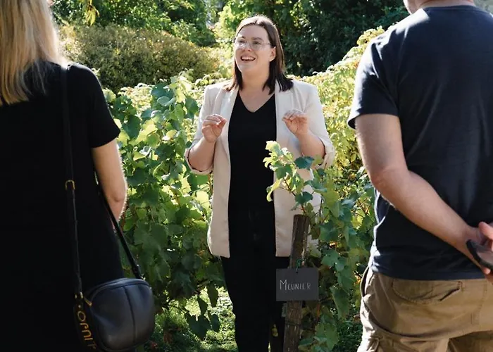 Le Clos Corbier - Champagne Collard-milesi 4* Mareuil-sur-Ay